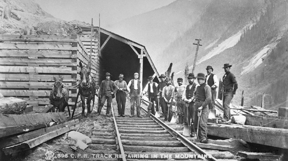 11 men and 2 donkeys pose for black and white photograph outside partly completed railway snowshed in summer.